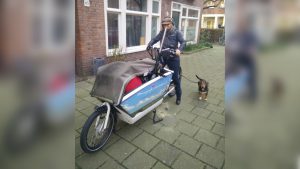 bakfiets-verhuizing