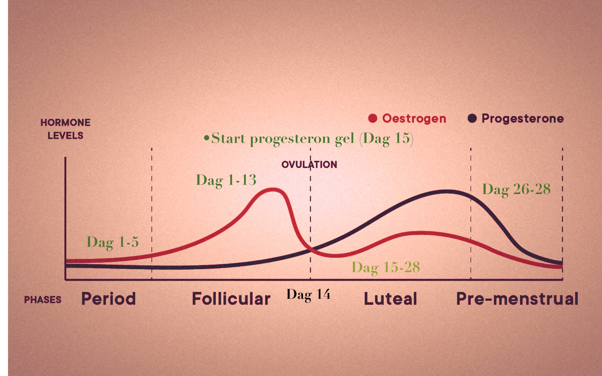 Effectieve Strategieën om Oestrogeenniveaus te Verlagen en Progesteronspiegels te Verhogen