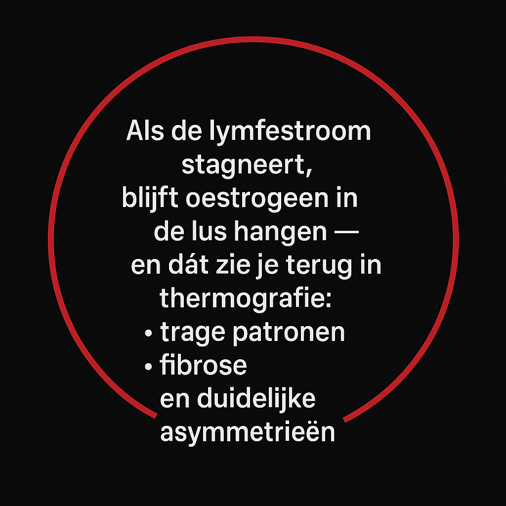 Als de lymfestroom stagneert, blijft oestrogeen in de lus hangen — en dát zie je terug in thermografie: trage patronen, fibrose en duidelijke asymmetrieën.